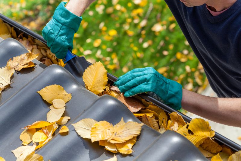 Gutter Cleaning in Stafford